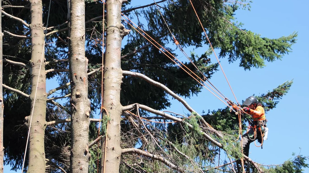 Bosque Nativo de Puerto Varas impulsa capacitaciones y educación patrimonial