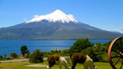 Puerto Varas Gratis: Descubre sus Maravillas sin Costo
