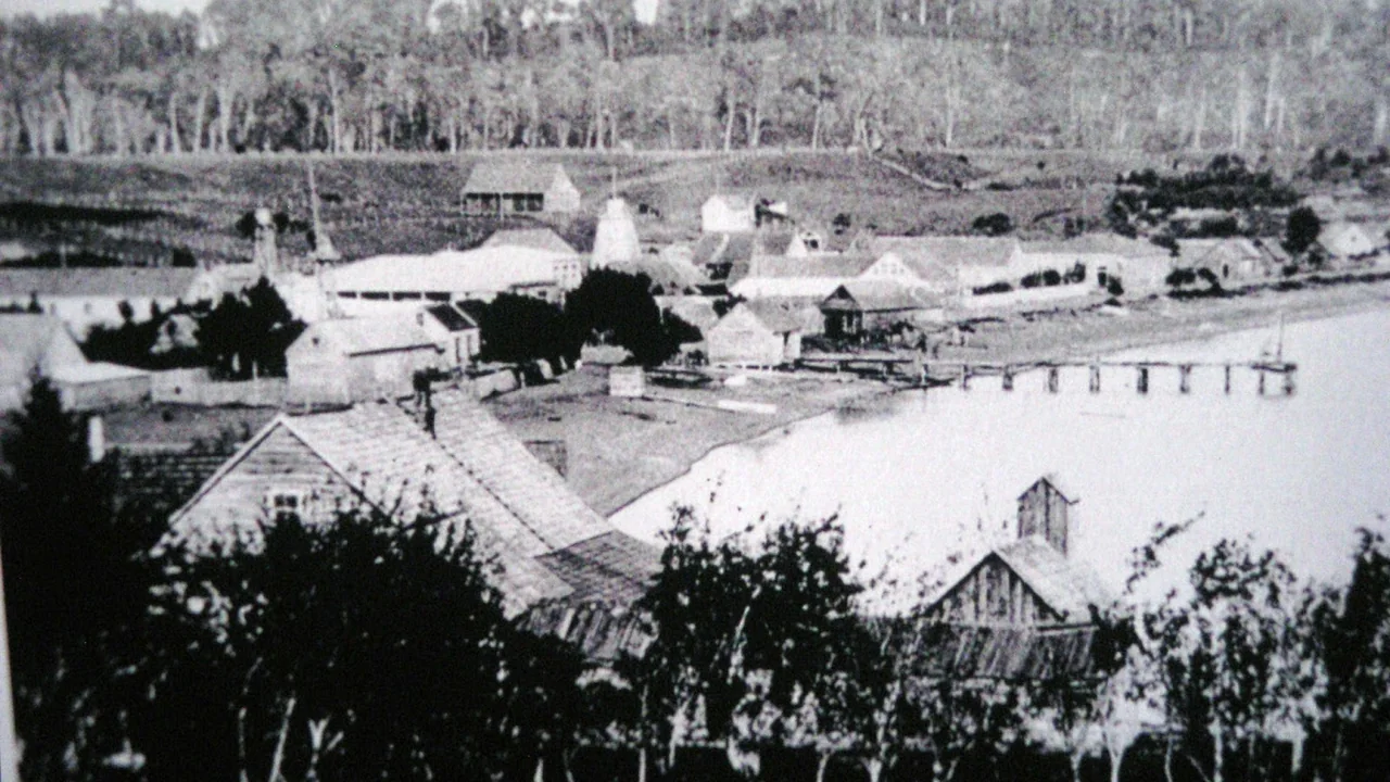 Puertovarinos: Historia y Vida de los Habitantes de Puerto Varas