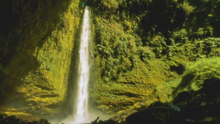 Salto Las Cascadas cayendo entre paredes de roca cubiertas de musgo y helechos, en el sector Las Cascadas del lago Llanquihue