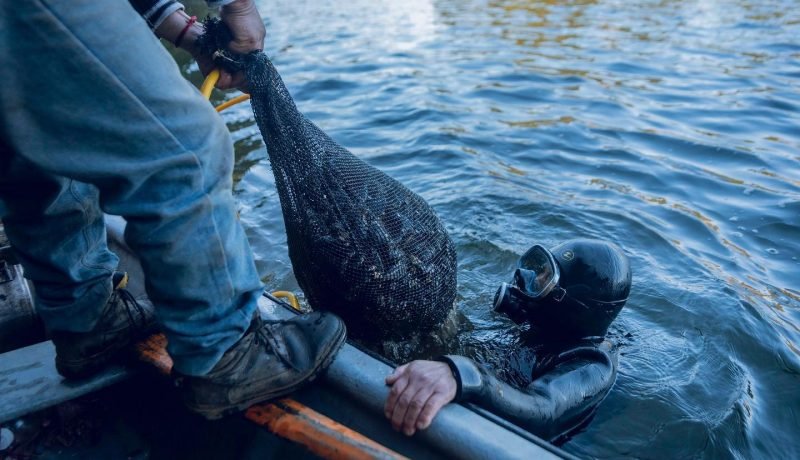 indespa abre fondos para pesca artesanal en Áreas de manejo