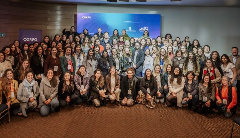 red stem en los lagos: impulso al liderazgo femenino en puerto varas