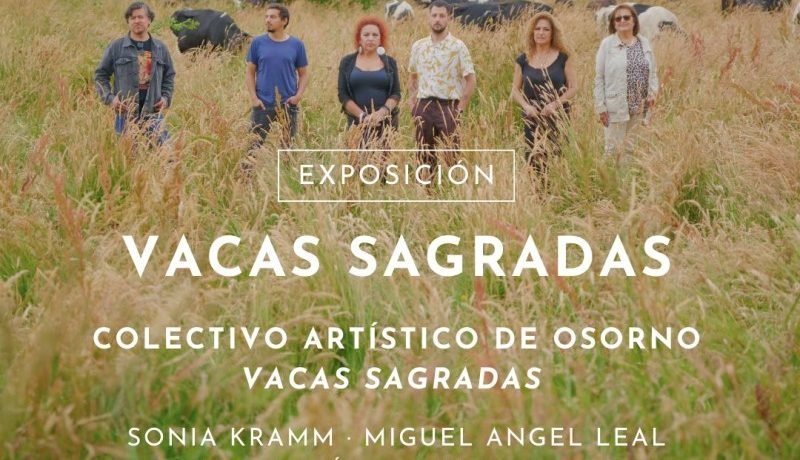 exposiciones de arte en puerto varas bosque nativo presenta canta o nada y vacas sagradas