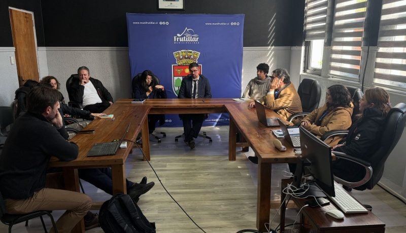 frutillar: centro oncológico regional cerca de concretarse