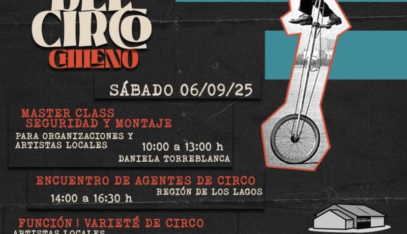 dia nacional del circo frutillar celebra con formacion y espectaculos en los lagos