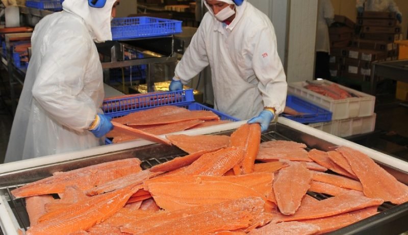 exportaciones de los lagos superan us$5.100 millones: liderazgo acuícola impulsa crecimiento regional