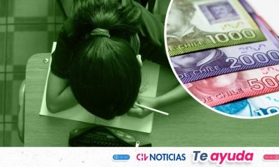bono asistencia escolar: requisitos y cómo obtenerlo en chile