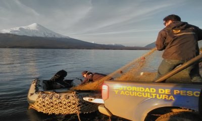 sernapesca carabineros y armada combate a la pesca ilegal en los lagos