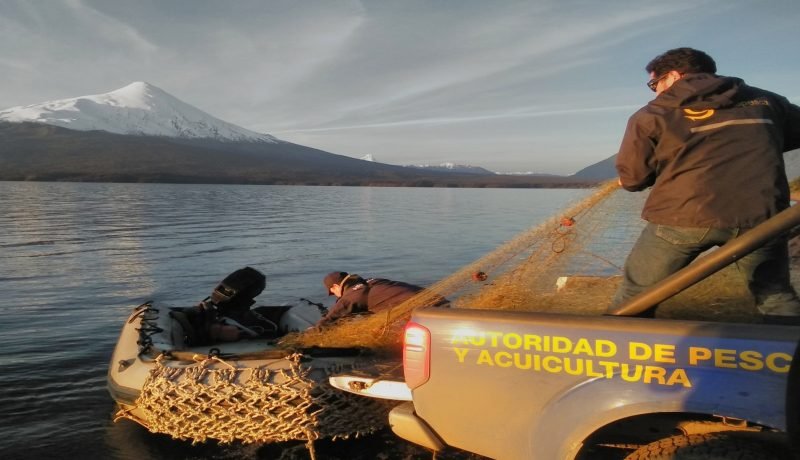 sernapesca carabineros y armada combate a la pesca ilegal en los lagos