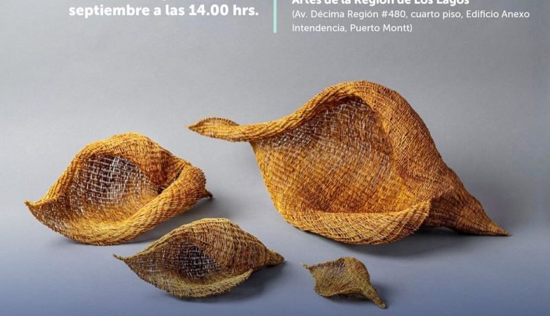abren convocatoria para premios regionales de arte y cultura en los lagos