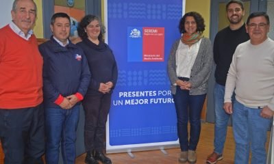 postulaciones abiertas consejo ambiental los lagos 2026 2028