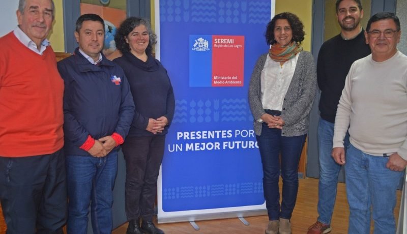 postulaciones abiertas consejo ambiental los lagos 2026 2028