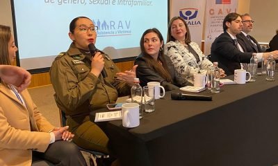 puerto varas programa pionero contra violencia intrafamiliar