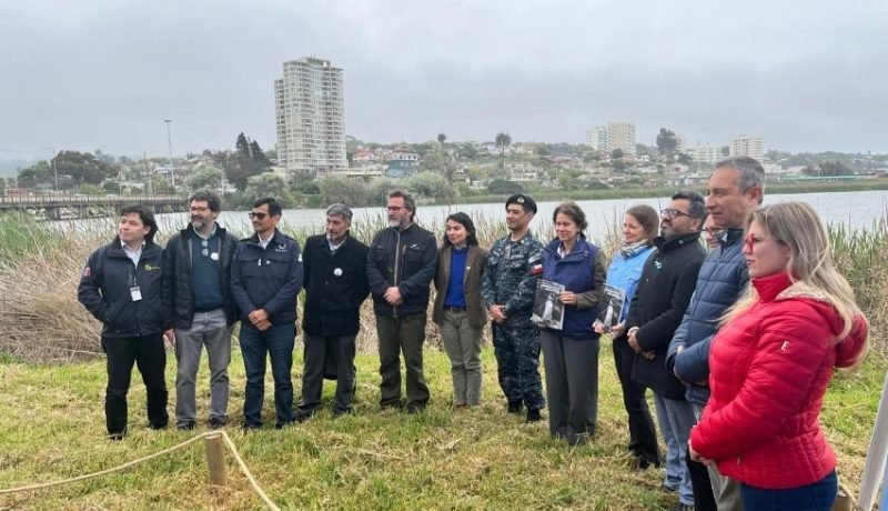 chile impulsa plan para proteger aves marinas y biodiversidad