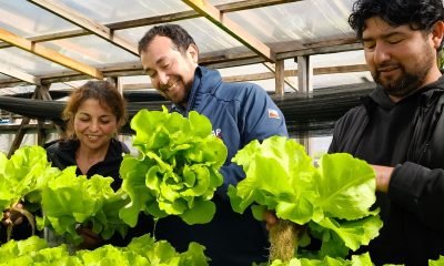 indap lanza "tierra joven": apoyo a jóvenes rurales y emprendedores