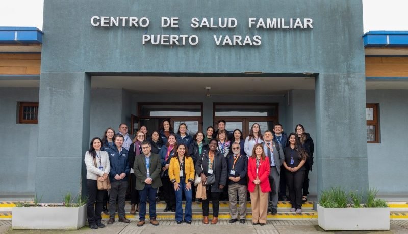 chile rumbo a certificacion de pais libre de lepra mision ops oms evalua region de los lagos