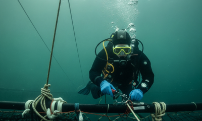 buzos de los lagos: nuevos desafíos y ley de buceo mejoran seguridad laboral