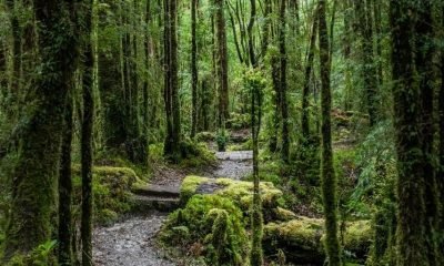 la patagonia chilena busca ser destino mundial de naturaleza y conservacion
