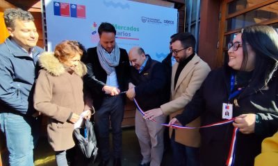 ecomercado solidario potencia apoyo a familias de puerto montt