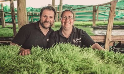 nuevos héroes 2025: historias de impacto social en chile