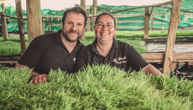 nuevos héroes 2025: historias de impacto social en chile