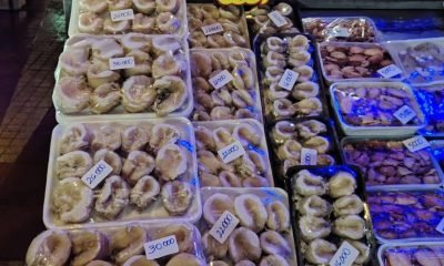 sernapesca y carabineros incautan merluza y locos en veda en angelmo