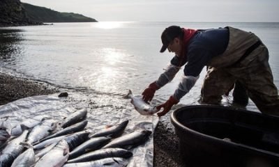 corfo impulsa pesca acuicultura y construccion sustentable en el sur