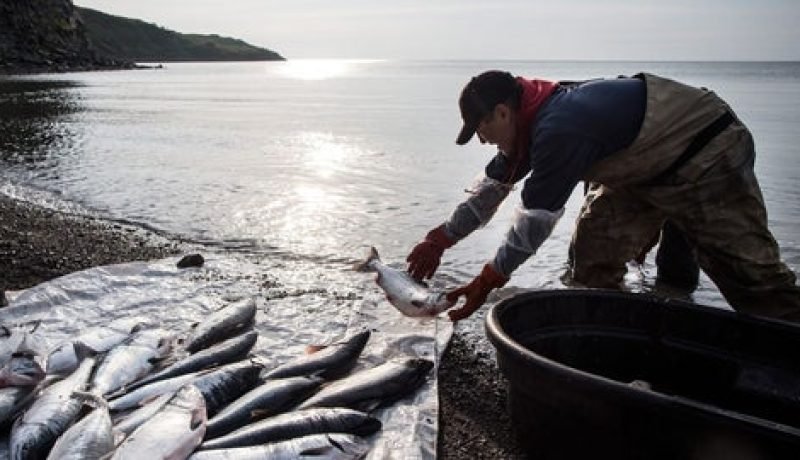 corfo impulsa pesca acuicultura y construccion sustentable en el sur