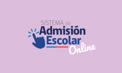 sae 2026 fechas clave y resultados de postulacion