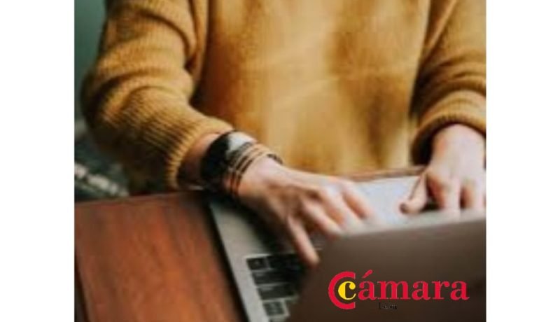 bono formalizacion del trabajo guia completa de requisitos y pago unico