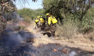 conaf busca brigadistas forestales para temporada de incendios 2025 2026