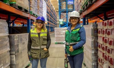 oportunidades laborales en ccu vacantes y como postular