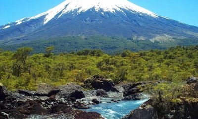 conaf anuncia mega plan de mejoramiento para el parque vicente perez rosales