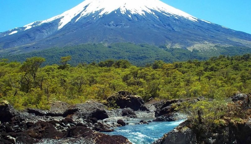 conaf anuncia mega plan de mejoramiento para el parque vicente perez rosales