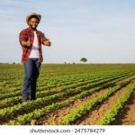 programa tierra joven de indap apoyo para jovenes agricultores