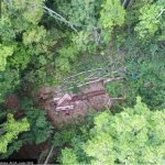violento asalto en predio forestal de los lagos cuidador atado y amenazado con rayados politicos