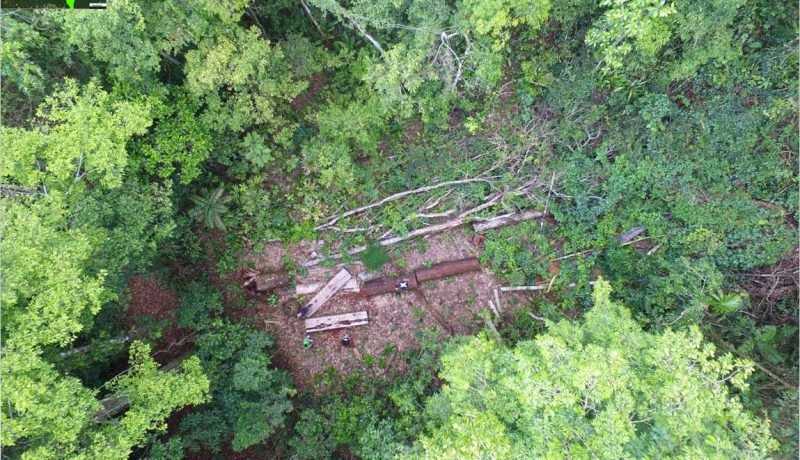 violento asalto en predio forestal de los lagos cuidador atado y amenazado con rayados politicos