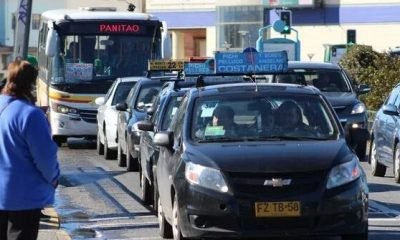 renovacion de colectivos en los lagos impulso a seguridad y sostenibilidad