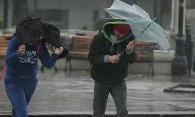 senapred los lagos activa alerta por vientos y lluvias intensas