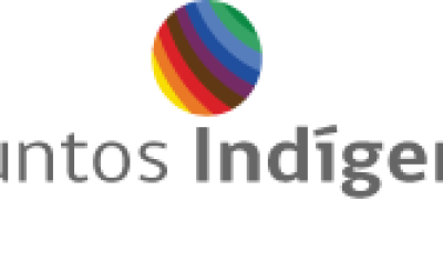 mop suspende consulta indigena por proyecto vial en los lagos