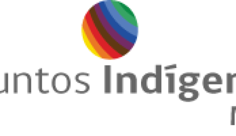 mop suspende consulta indigena por proyecto vial en los lagos