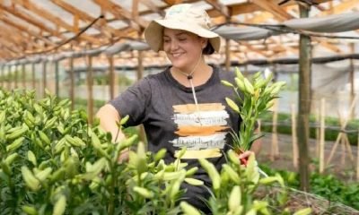 tierra joven indap jovenes compran su primer terreno rural