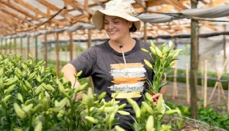 tierra joven indap jovenes compran su primer terreno rural