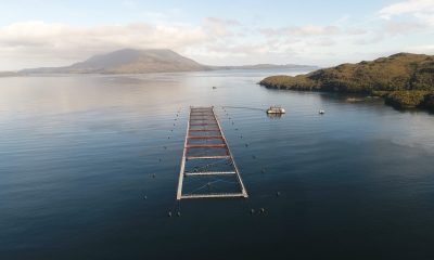 corte suprema multa millonaria y suspende a caleta bay
