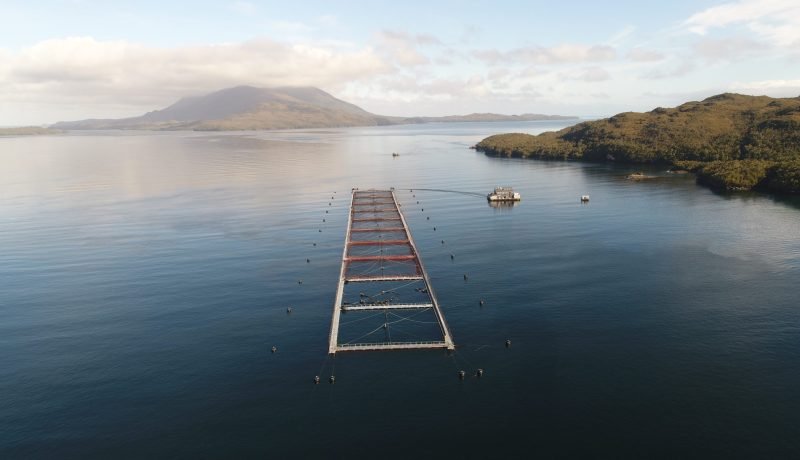 corte suprema multa millonaria y suspende a caleta bay