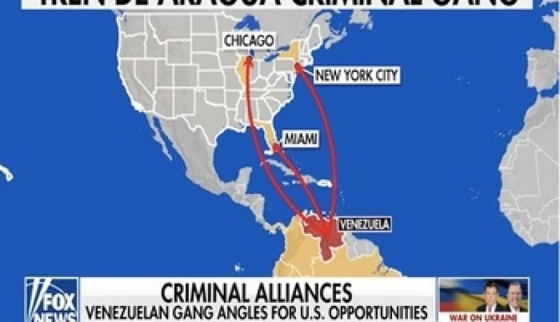 desarticulan franquicia del tren de aragua en los lagos