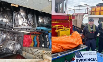 armada incauta 8 toneladas de reineta a lanchas sin documentación en quicaví (quemchi)