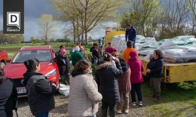 osorno entrega semillas y concentrado a 1 064 familias rurales del programa de apoyo agrícola