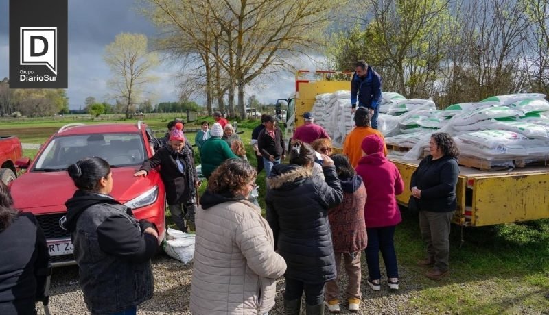 osorno entrega semillas y concentrado a 1 064 familias rurales del programa de apoyo agrícola