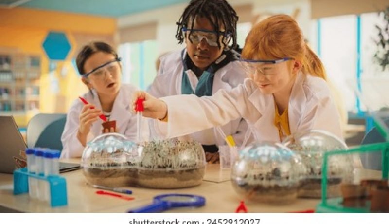 estudiantes de fresia representarán a chile en ciencap paraguay y milset abu dabi 2025